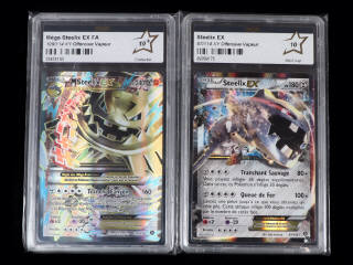 Lot 66 - POKEMON COMPANY (FRANCE) (2)