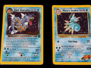 Lot 47 - POKEMON COMPANY (USA) (4)