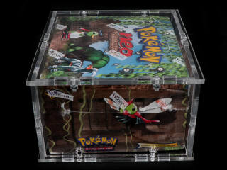 Lot 43 - POKEMON COMPANY (USA) (1)