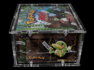 Lot 43 - POKEMON COMPANY (USA) (1)