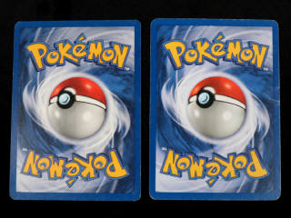 Lot 31 - POKEMON COMPANY (FRANCE) (2)