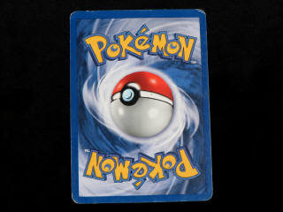 Lot 24 - POKEMON COMPANY (FRANCE) (1)