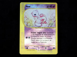 Lot 16 - POKEMON COMPANY (FRANCE) (1)