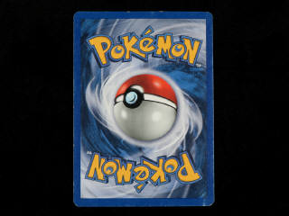 Lot 16 - POKEMON COMPANY (FRANCE) (1)