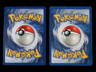 Lot 129 - POKEMON COMPANY (2)