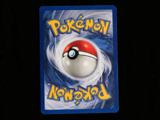 Lot 151 - POKEMON COMPANY (USA) (1)