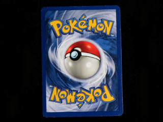 Lot 149 - POKEMON COMPANY (USA) (1)