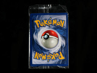 Lot 153 - POKEMON COMPANY (USA) (1)