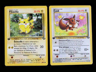 Lot 44 - POKEMON COMPANY (FRANCE) (2)