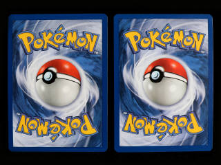 Lot 44 - POKEMON COMPANY (FRANCE) (2)