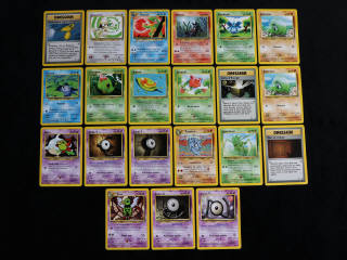 Lot 95 - POKEMON COMPANY (FRANCE) (21)