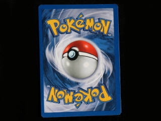 Lot 8 - POKEMON COMPANY (FRANCE) (1)