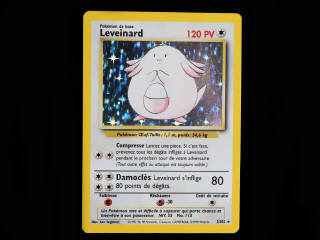 Lot 19 - POKEMON COMPANY (FRANCE) (1)