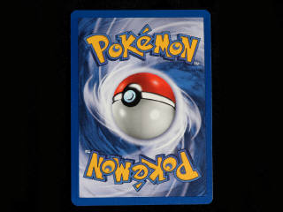 Lot 12 - POKEMON COMPANY (FRANCE) (1)