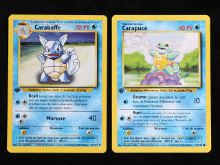 Lot 43 - POKEMON COMPANY (FRANCE) (2)