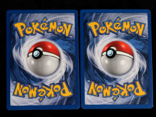 Lot 38 - POKEMON COMPANY (FRANCE) (2)