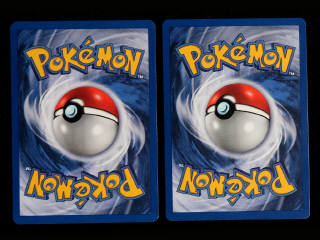 Lot 39 - POKEMON COMPANY (FRANCE) (2)