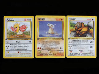 Lot 58 - POKEMON COMPANY (FRANCE) (3)
