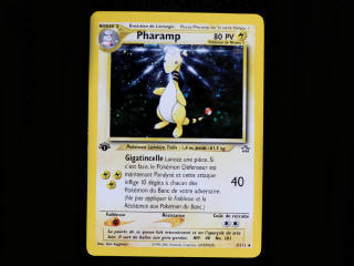 Lot 10 - POKEMON COMPANY (FRANCE) (1)