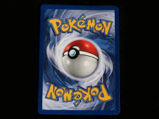 Lot 14 - POKEMON COMPANY (FRANCE) (1)