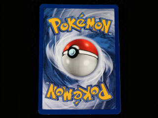 Lot 23 - POKEMON COMPANY (FRANCE) (1)