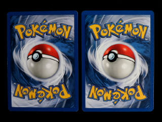 Lot 45 - POKEMON COMPANY (FRANCE) (2)