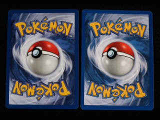 Lot 32 - POKEMON COMPANY (FRANCE) (2)