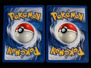 Lot 29 - POKEMON COMPANY (FRANCE) (2)