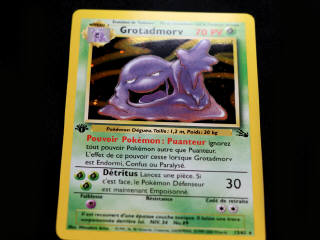 Lot 29 - POKEMON COMPANY (FRANCE) (2)