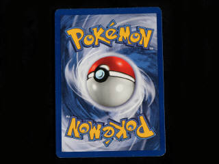 Lot 71 - POKEMON COMPANY (USA) (1)