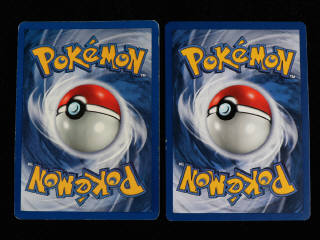 Lot 57 - POKEMON COMPANY (2)