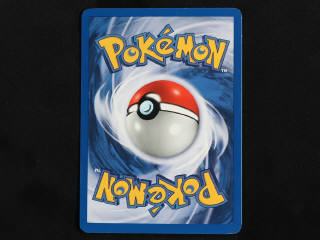 Lot 87 - POKEMON COMPANY (FRANCE) (1)