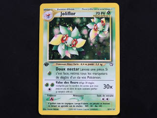 Lot 88 - POKEMON COMPANY (FRANCE) (1)