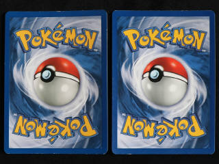 Lot 89 - POKEMON COMPANY (FRANCE) (2)