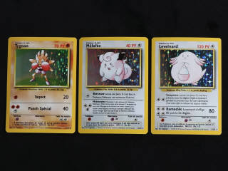 Lot 91 - POKEMON COMPANY (FRANCE) (3)