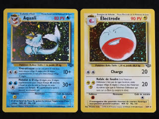 Lot 94 - POKEMON COMPANY (FRANCE) (2)