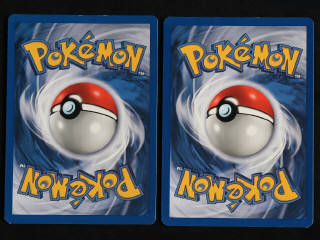 Lot 94 - POKEMON COMPANY (FRANCE) (2)