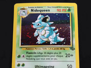 Lot 95 - POKEMON COMPANY (FRANCE) (2)