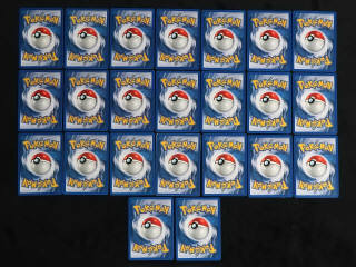 Lot 105 - POKEMON COMPANY (FRANCE) (23)