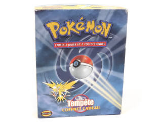 Lot 142 - POKEMON COMPANY (FRANCE) (1)