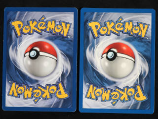 Lot 123 - POKEMON COMPANY (FRANCE) (2)