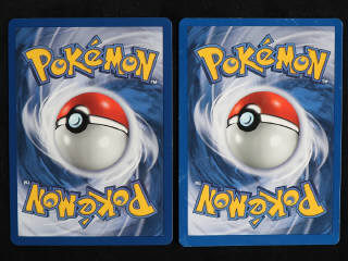 Lot 125 - POKEMON COMPANY (FRANCE) (2)