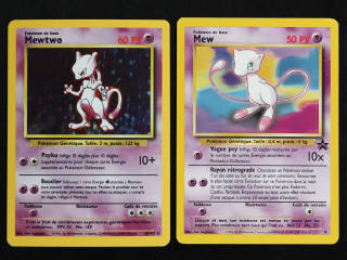 Lot 130 - POKEMON COMPANY (2)