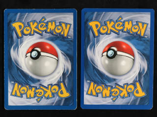 Lot 130 - POKEMON COMPANY (2)