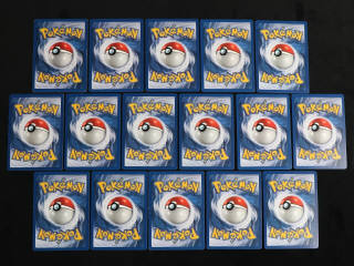 Lot 132 - POKEMON COMPANY (FRANCE) (16)