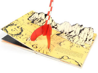 Lot 205 - DIVERS (23)