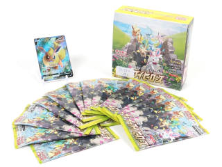 Lot 163 - POKEMON COMPANY (JAPON) (2)