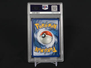 Lot 345 - POKEMON COMPANY (USA) (1)