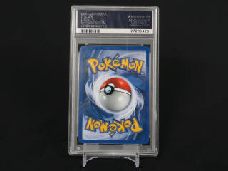 Lot 351 - POKEMON COMPANY (USA) (1)