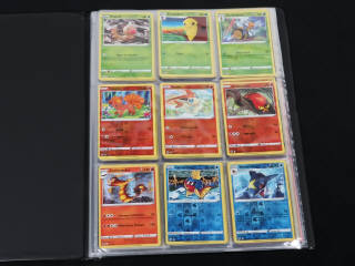 Lot 246 - POKEMON COMPANY (FRANCE) (2)